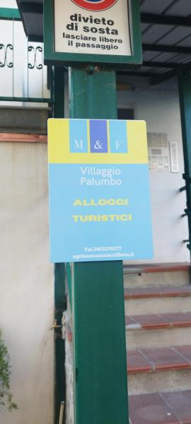 Agrifoglio